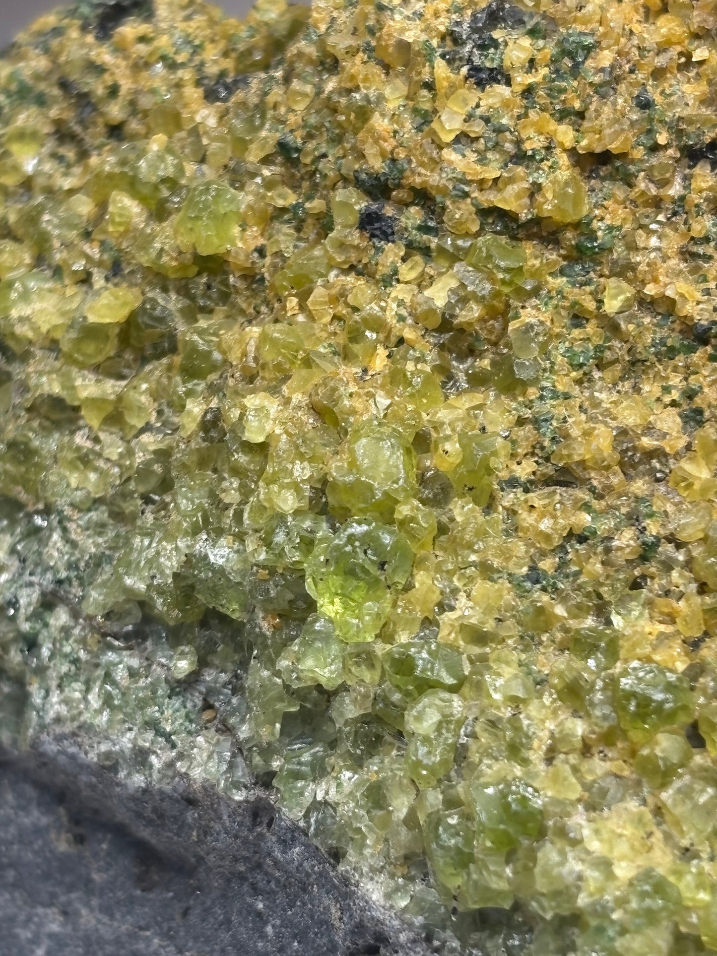 Olivin Kristalle in schwarzer Basalt Matrix, in bester Qualität, USA Peridot