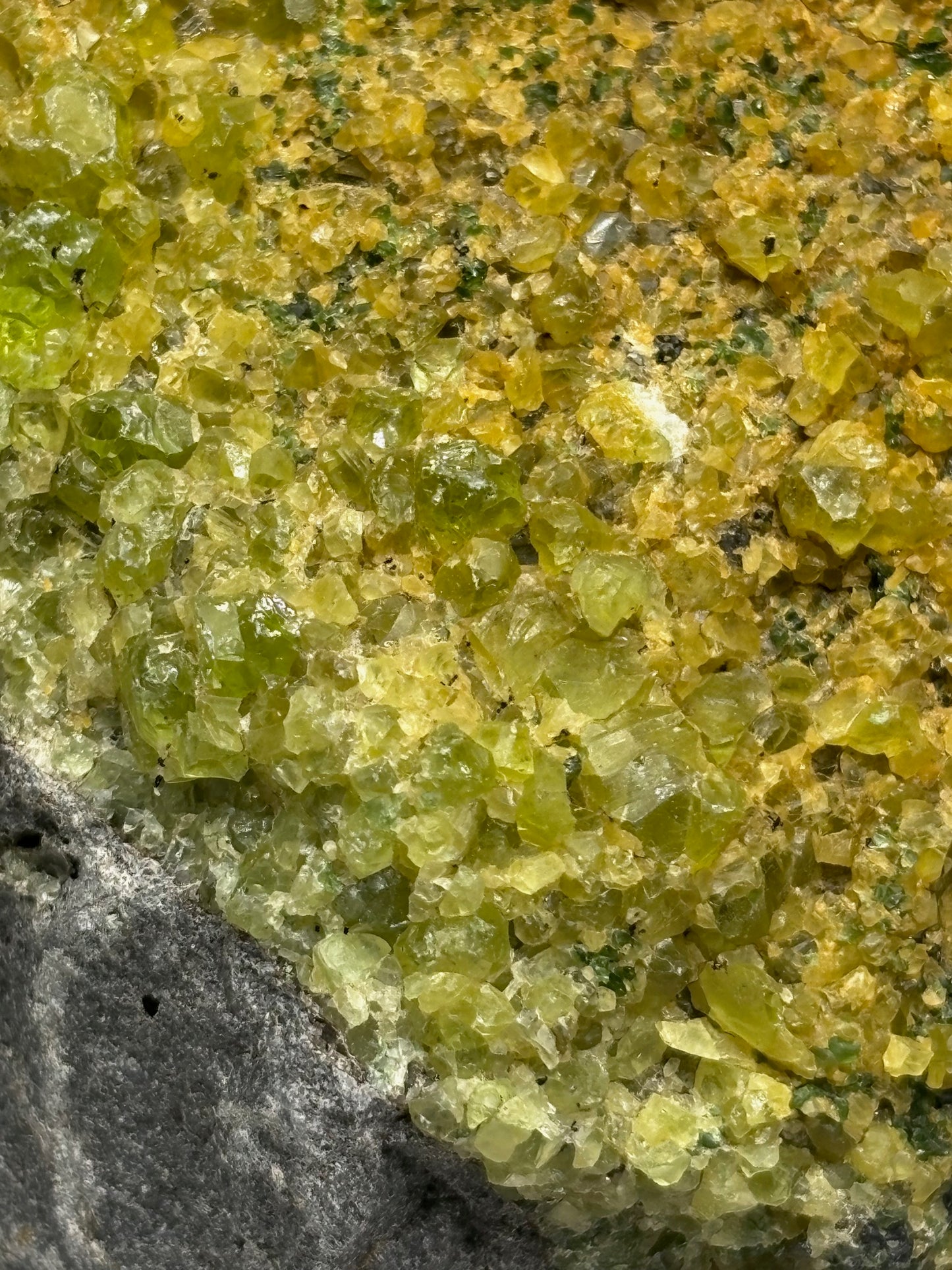 Olivin Kristalle in schwarzer Basalt Matrix, in bester Qualität, USA Peridot