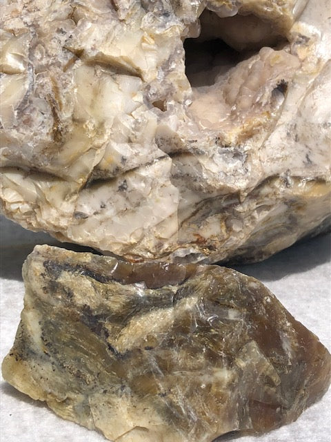 Versteinertes Holz opalisiert (Rarität) in bester Qualität mit Chalcedon (UV), fossiles Palmenholz Nadelholz fossilien Holzopal Opalholz