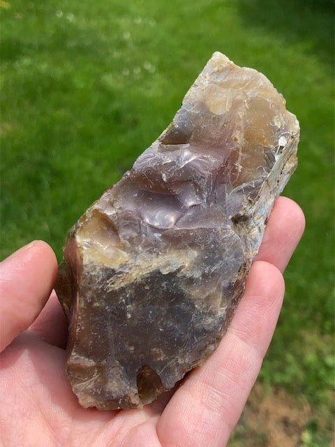 Versteinertes Holz opalisiert (Rarität) in bester Qualität mit Chalcedon (UV), fossiles Palmenholz Nadelholz fossilien Holzopal Opalholz