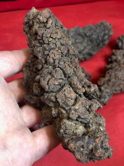 Koprolith Rohsteine, Dinosaurier Exkremte, Coprolite Fossile Kotsteine Scherzgeschenk