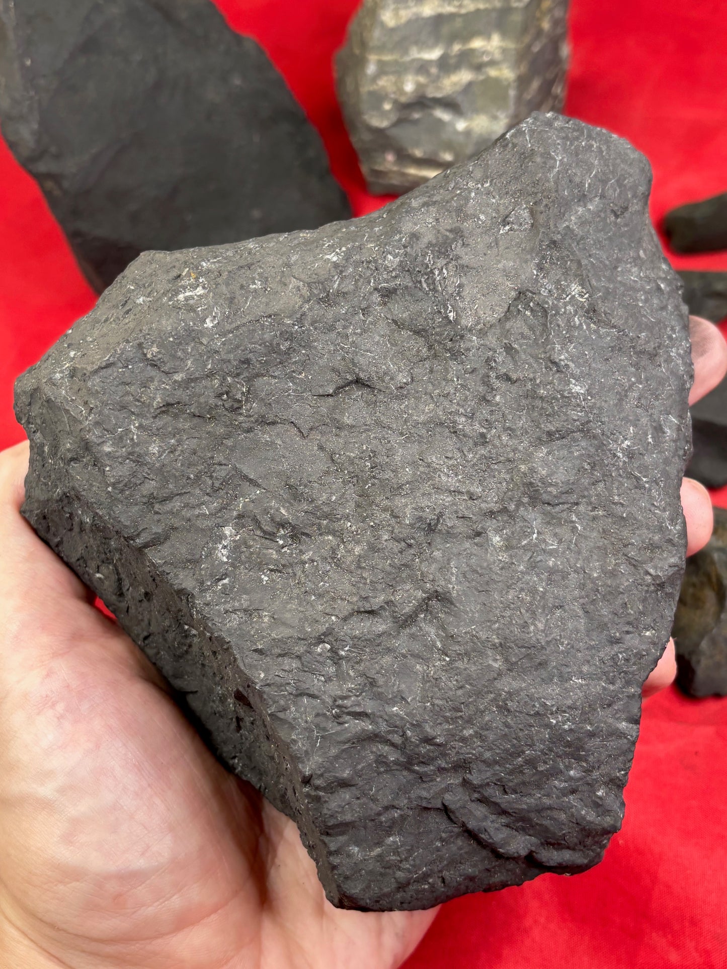 Schungit Rohsteine in bester Qualität, verschiedene Größen, Shunga Fluss, Karelien Russland