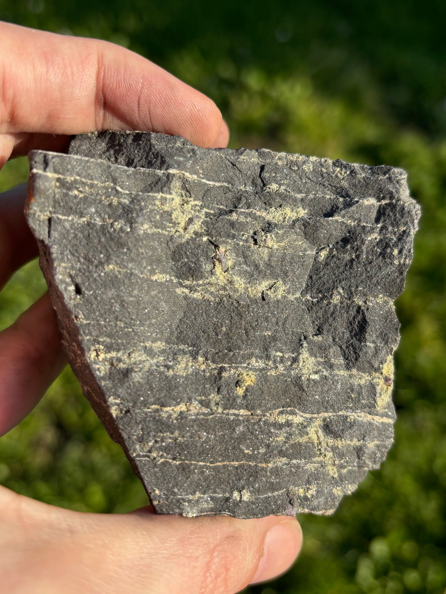 Schungit Rohsteine in bester Qualität, verschiedene Größen, Shunga Fluss, Karelien Russland