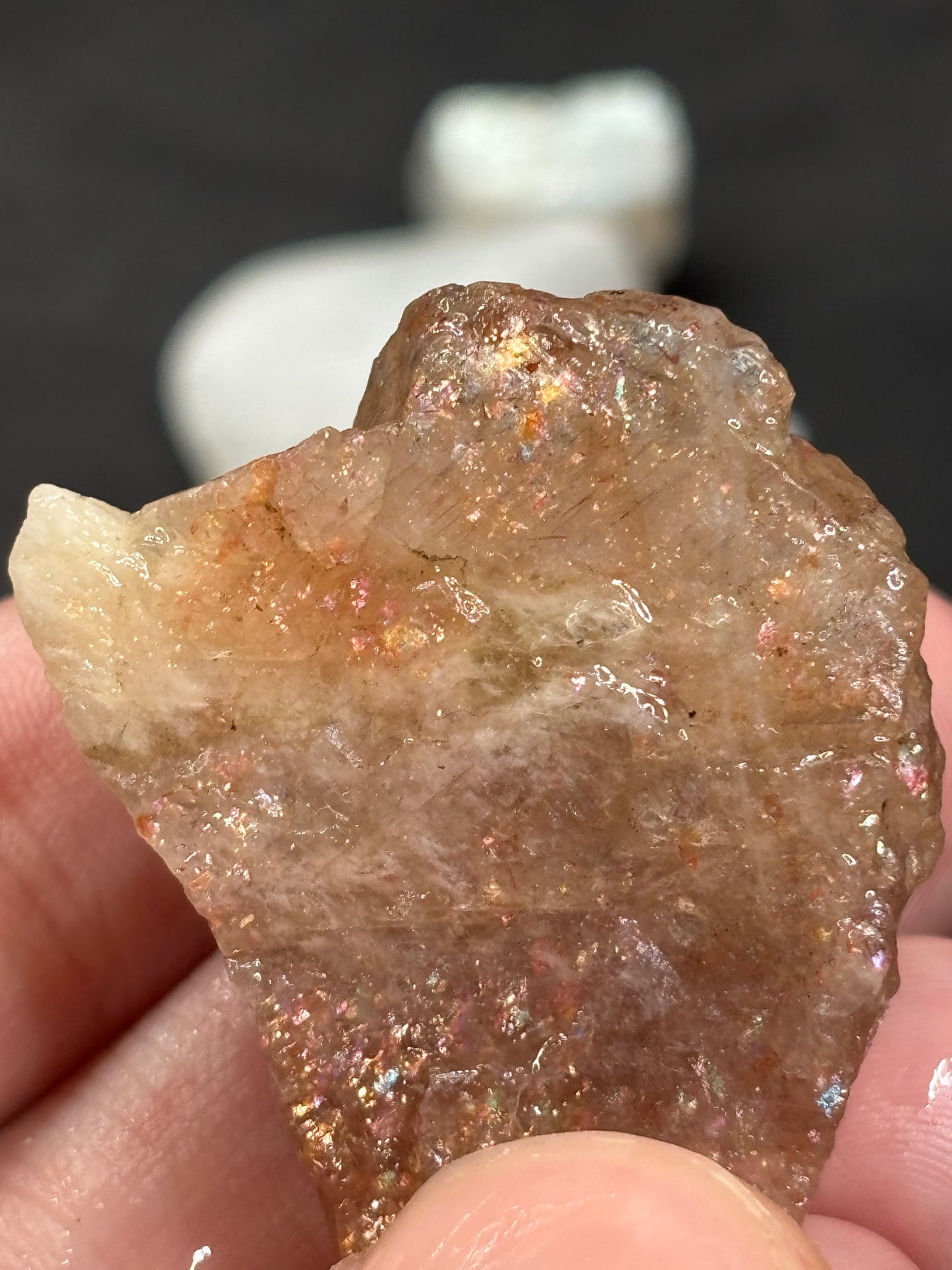 Mondstein & Sonnenstein Rohsteine in Facettierqualität