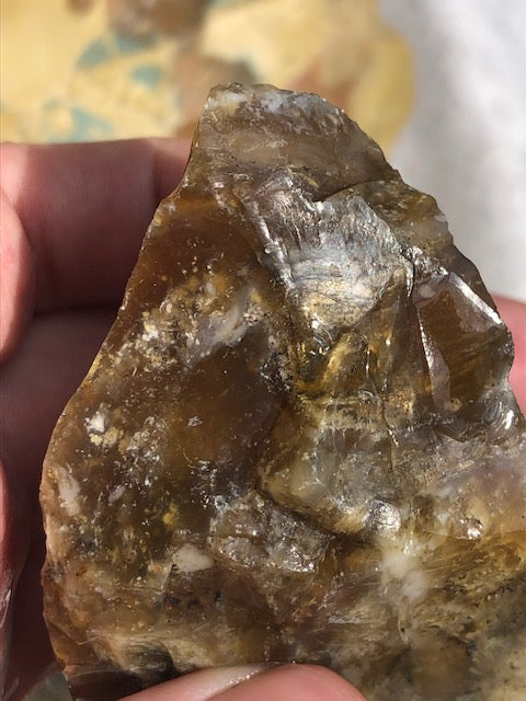 Versteinertes Holz opalisiert (Rarität) in bester Qualität mit Chalcedon (UV), fossiles Palmenholz Nadelholz fossilien Holzopal Opalholz