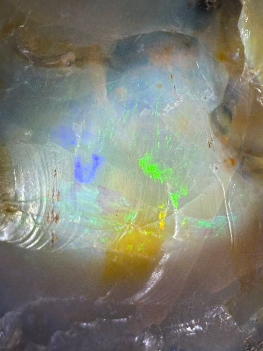 Veden, Jyotiṣa, Ayurveda, Yoga und Chakren verstehen: Zeit, Karma, Bewusstsein & Naturstoffe im vedischen Wissen