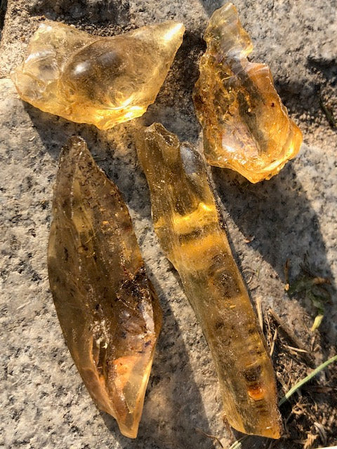 Kapha – Das stabilisierende und nährende Dosha im Ayurveda: Energie, Leichtigkeit & innere Balance