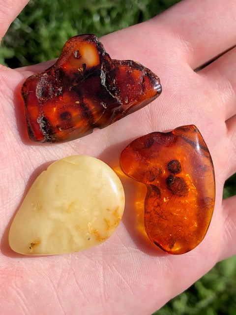 Paracelsus, Chakren und die Alchemie des Lichts: Lebensenergie, Planetenkräfte & spirituelle Heilkunst