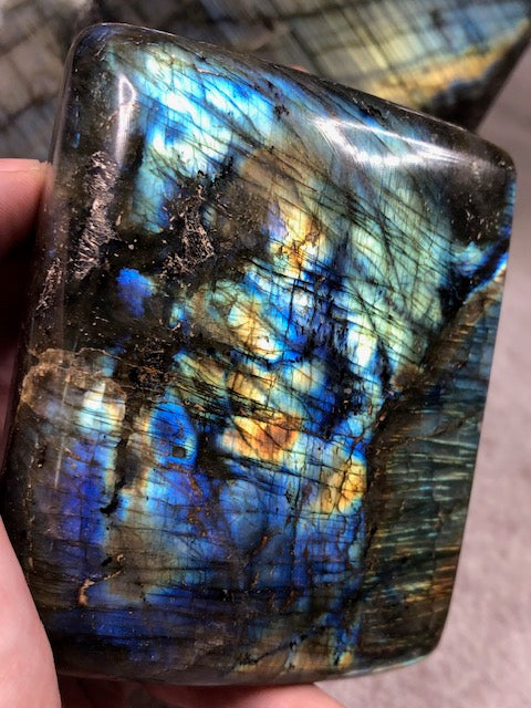 Sternzeichen, Aszendent, Mond & Planetenkonstellationen – was die Astrologie wirklich über uns verrät