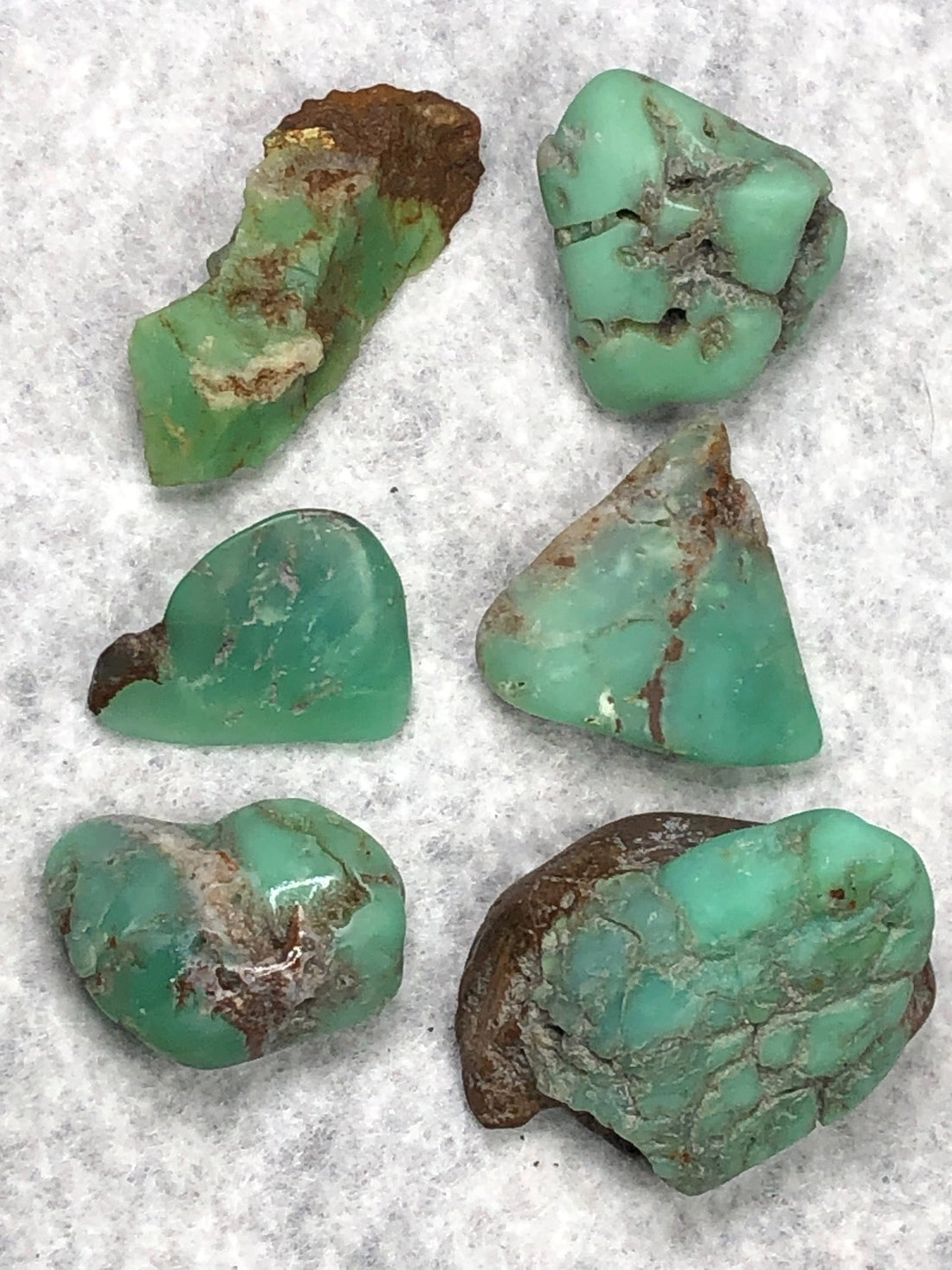 Dr. Wilhelm Heinrich Schüßler – Die Biografie des Begründers der Schüßler-Salze