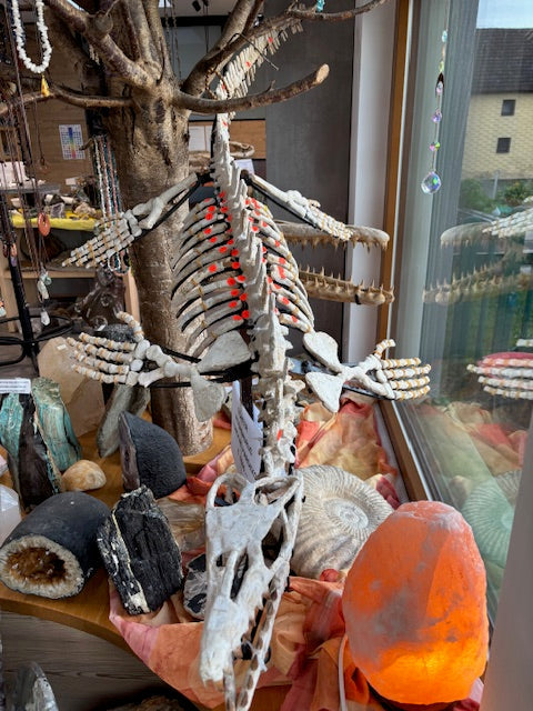 Fossilien