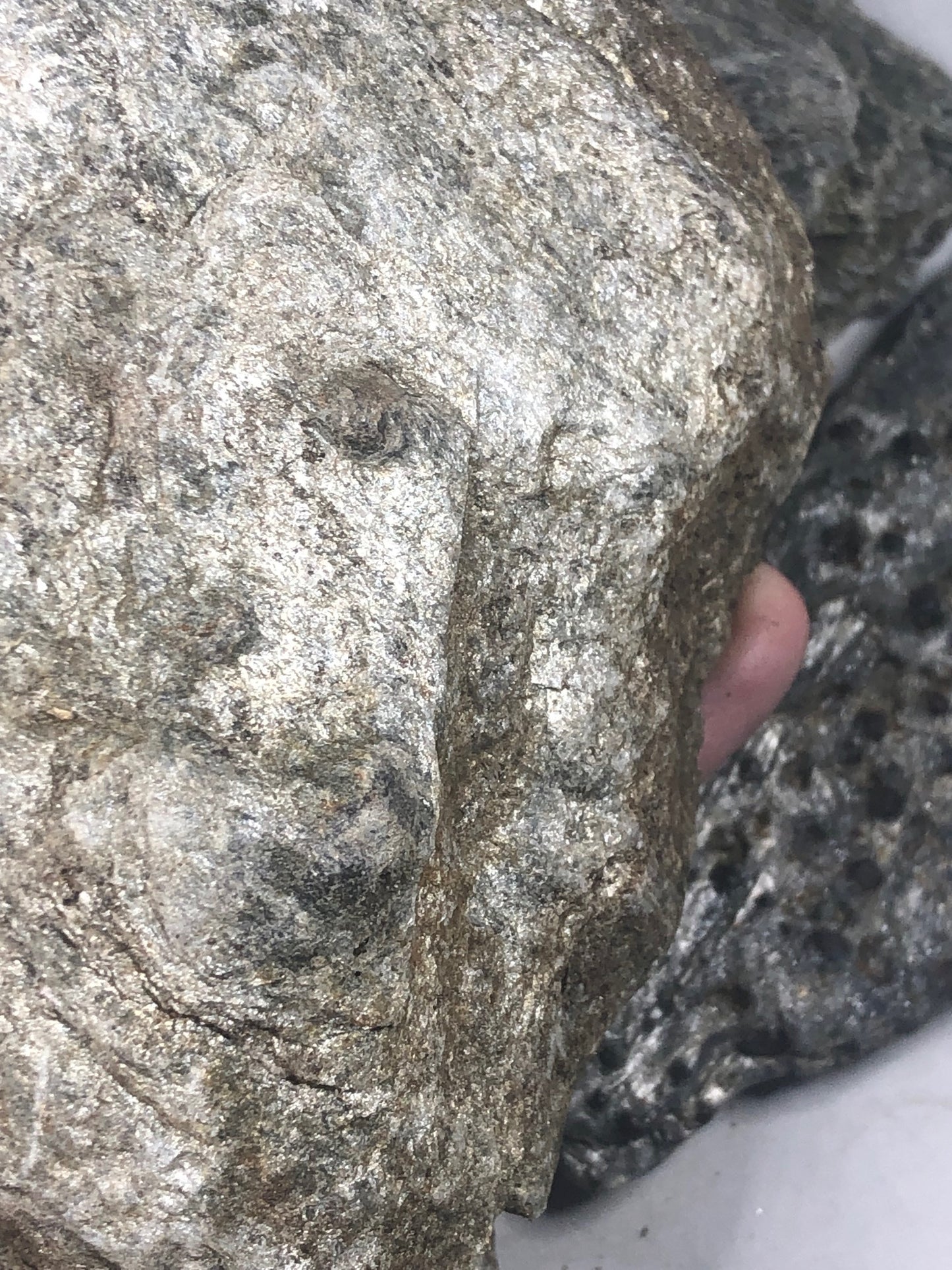 Granat Almandin in Glimmer, sehr gute Qualität, Österreich