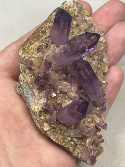 Amethyst Veracruz Mexiko, Las Vigas Museumsstufe, EXTRA Qualität