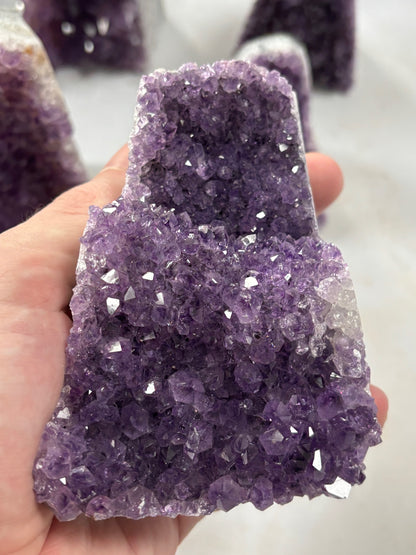 Amethyst Druse freistehend, Uruguay dunkelviollet in bester Qualität, verschiedene Größen