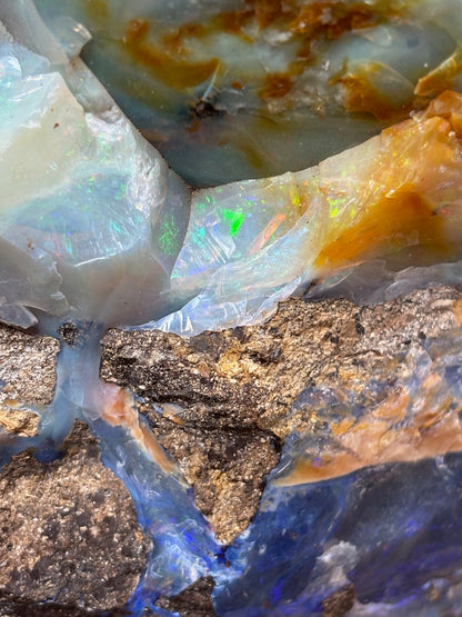 Boulder Opal XXL über 22,5Kg, in bester Qualität Museumsstück der vermutlich größte australische Edelopal im deutschsprachigen Raum