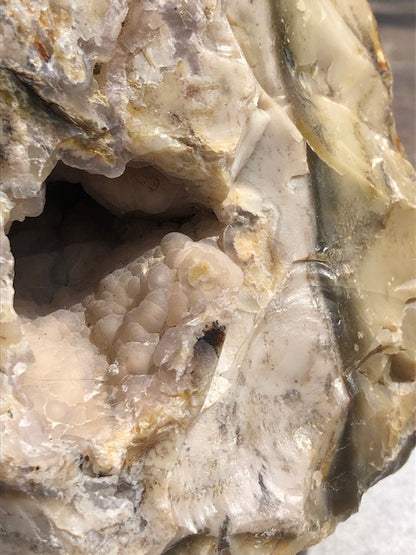 Versteinertes Holz opalisiert (Rarität) in bester Qualität mit Chalcedon (UV), fossiles Palmenholz Nadelholz fossilien Holzopal Opalholz