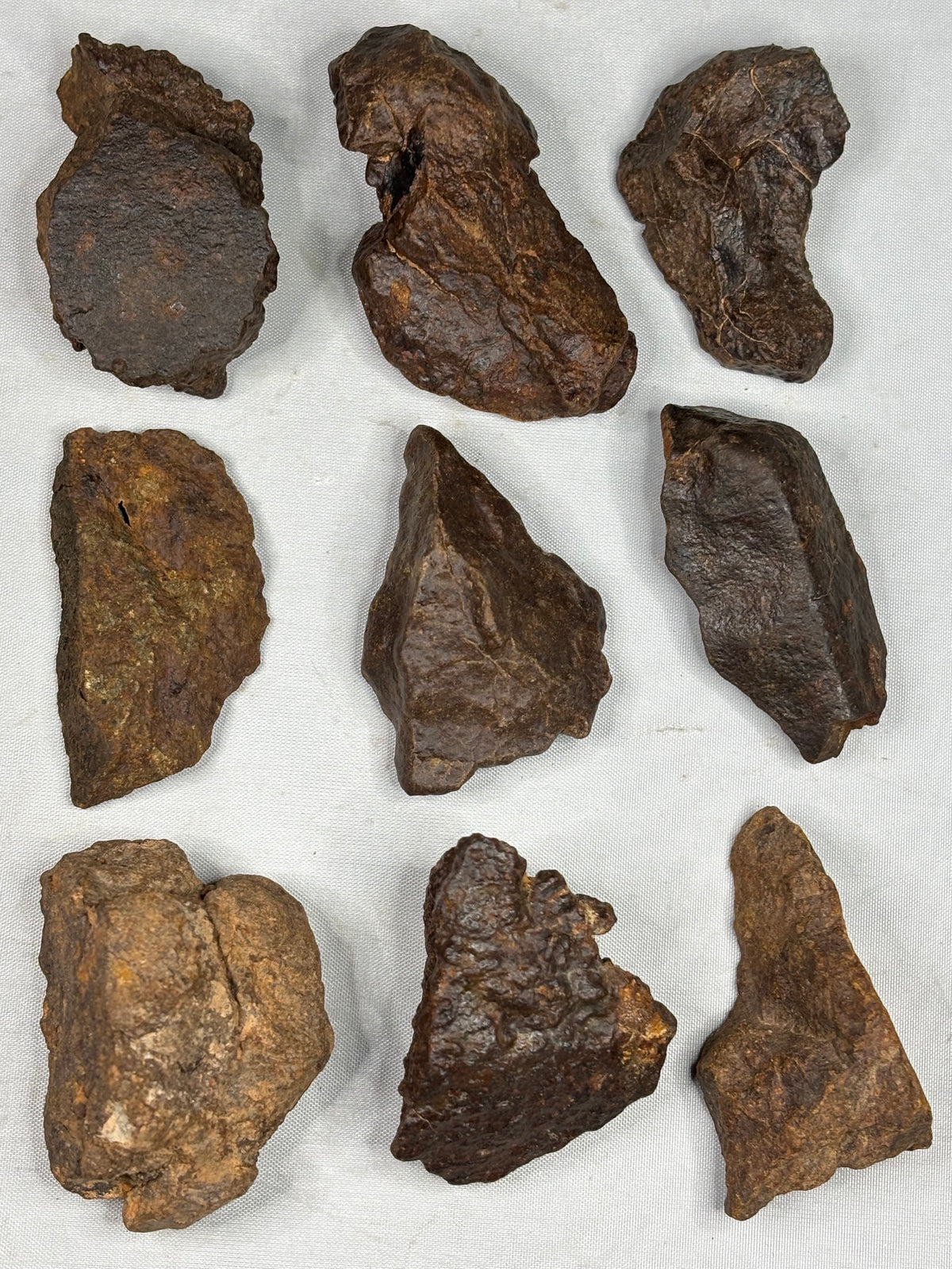 Echter Chondrit-Steinmeteorit (Sahara, Algerien) – Naturbelassene Unikate
