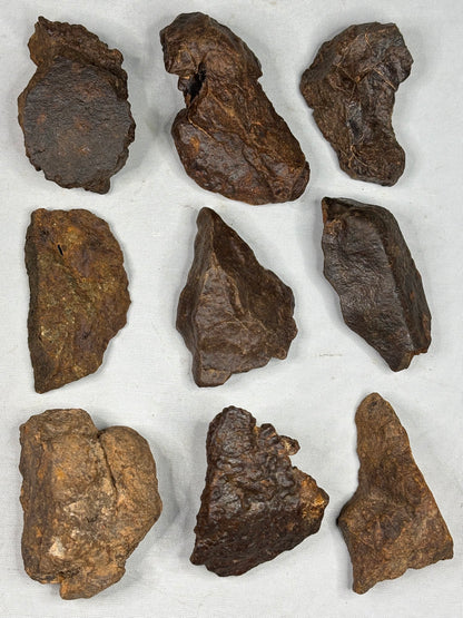Echter Chondrit-Steinmeteorit (Sahara, Algerien) – Naturbelassene Unikate
