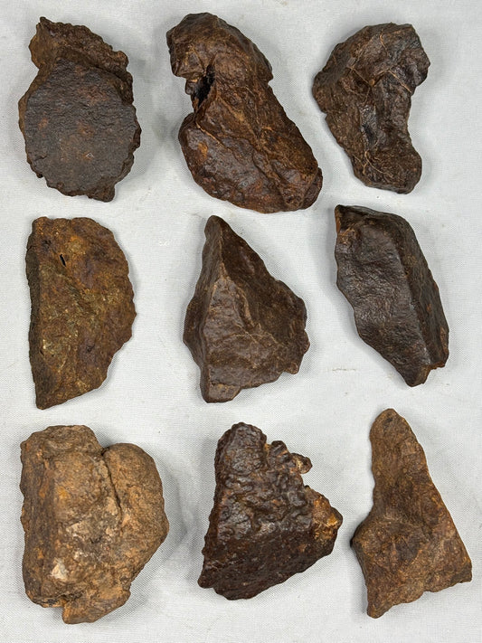 Echter Chondrit-Steinmeteorit (Sahara, Algerien) – Naturbelassene Unikate