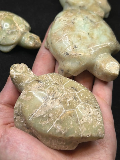 Chrysopras Schildkröte XL, beste Qualität, teilweise mit Bergkristall Drusen
