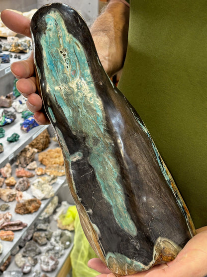 Versteinertes Holz mit Chrysokoll auf allen Seiten hochglanzpoliert, XL (ca. 5,5 Kg) in bester Qualität, Collawood Kupfermineralien Museumsstück Rarität fossiler Baumstamm Garut Java Indonesien