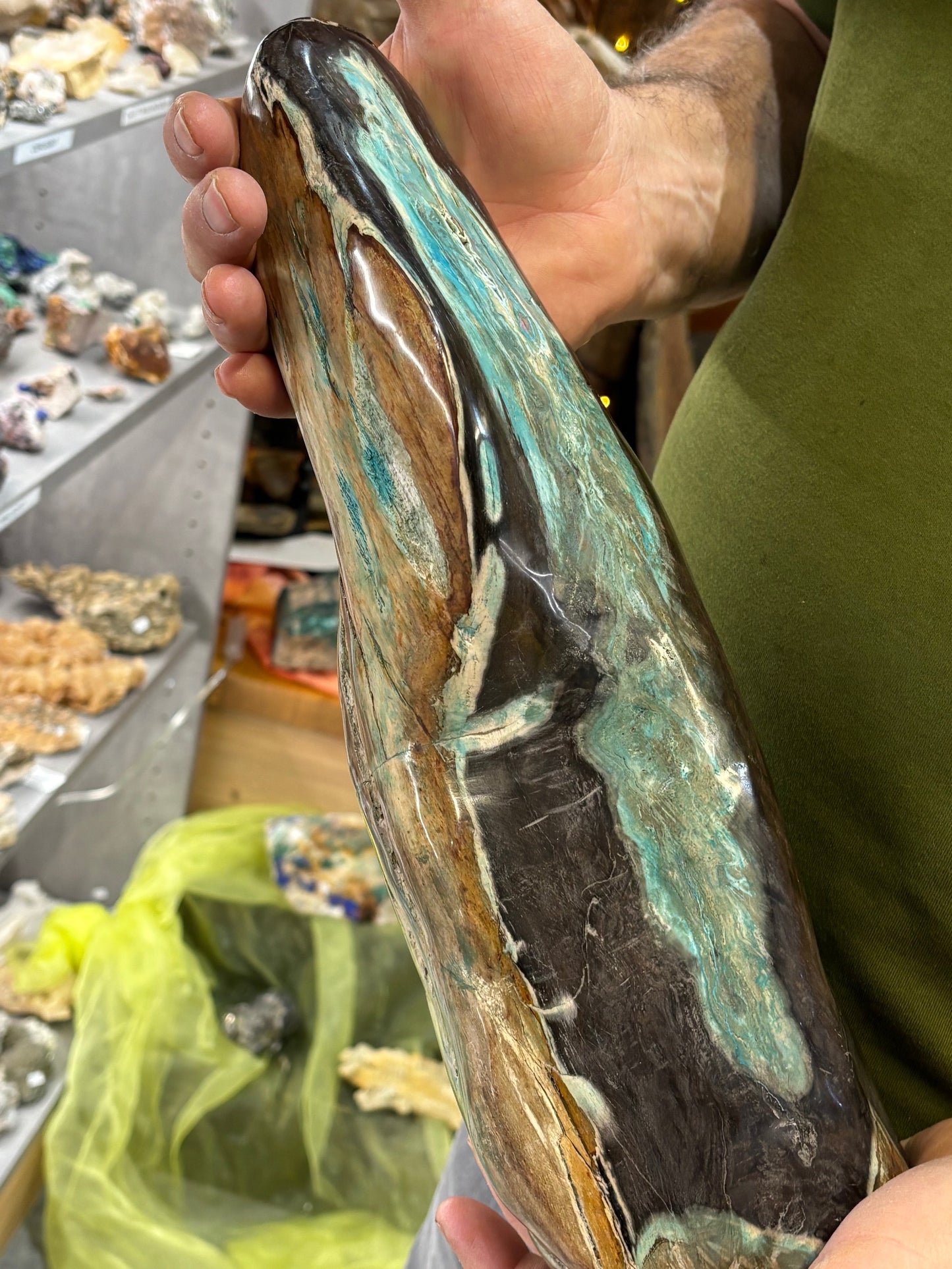 Versteinertes Holz mit Chrysokoll auf allen Seiten hochglanzpoliert, XL (ca. 5,5 Kg) in bester Qualität, Collawood Kupfermineralien Museumsstück Rarität fossiler Baumstamm Garut Java Indonesien