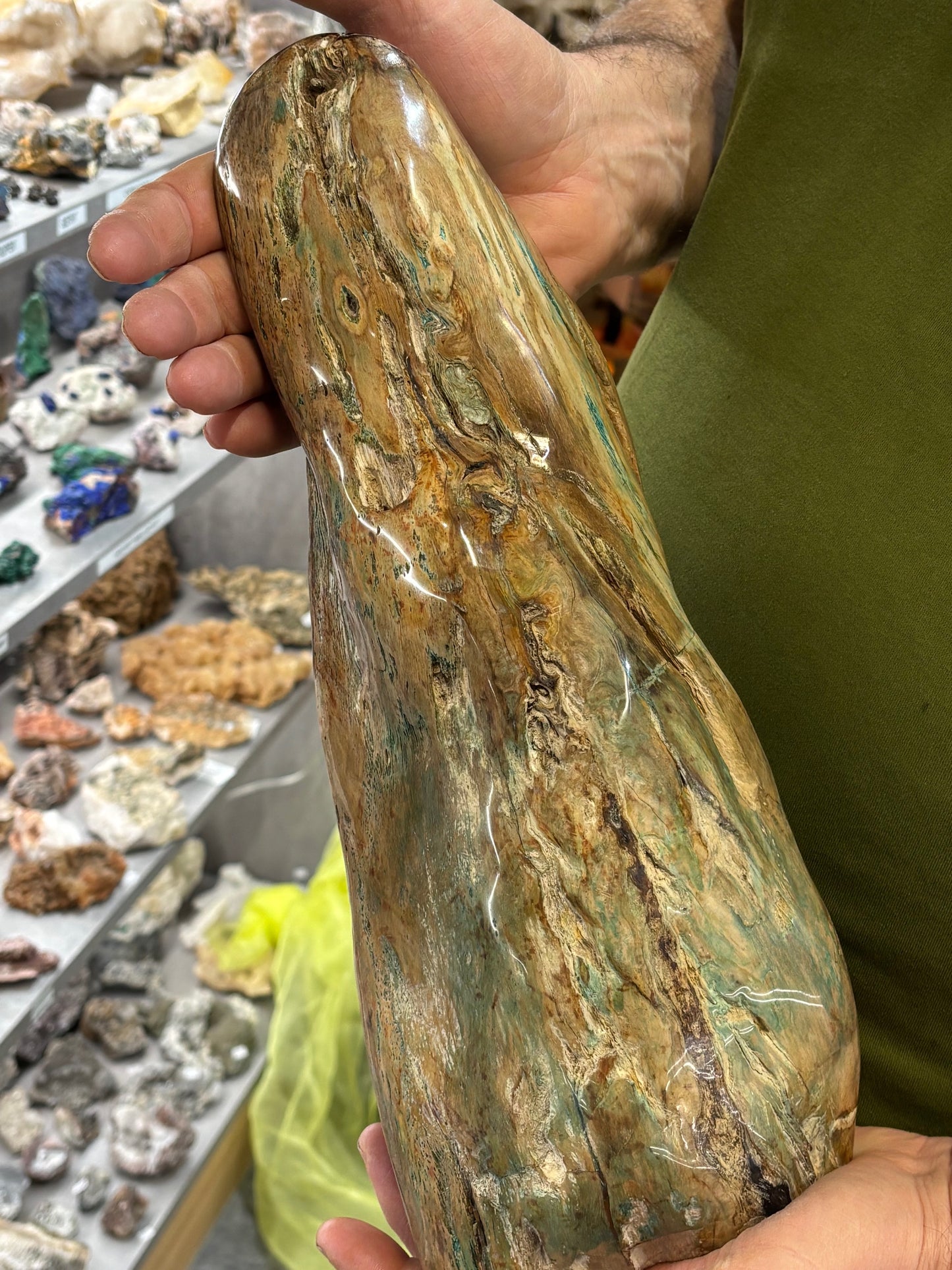 Versteinertes Holz mit Chrysokoll auf allen Seiten hochglanzpoliert, XL (ca. 5,5 Kg) in bester Qualität, Collawood Kupfermineralien Museumsstück Rarität fossiler Baumstamm Garut Java Indonesien