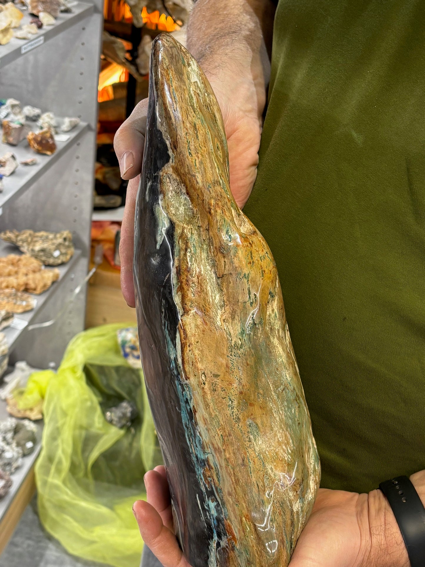 Versteinertes Holz mit Chrysokoll auf allen Seiten hochglanzpoliert, XL (ca. 5,5 Kg) in bester Qualität, Collawood Kupfermineralien Museumsstück Rarität fossiler Baumstamm Garut Java Indonesien