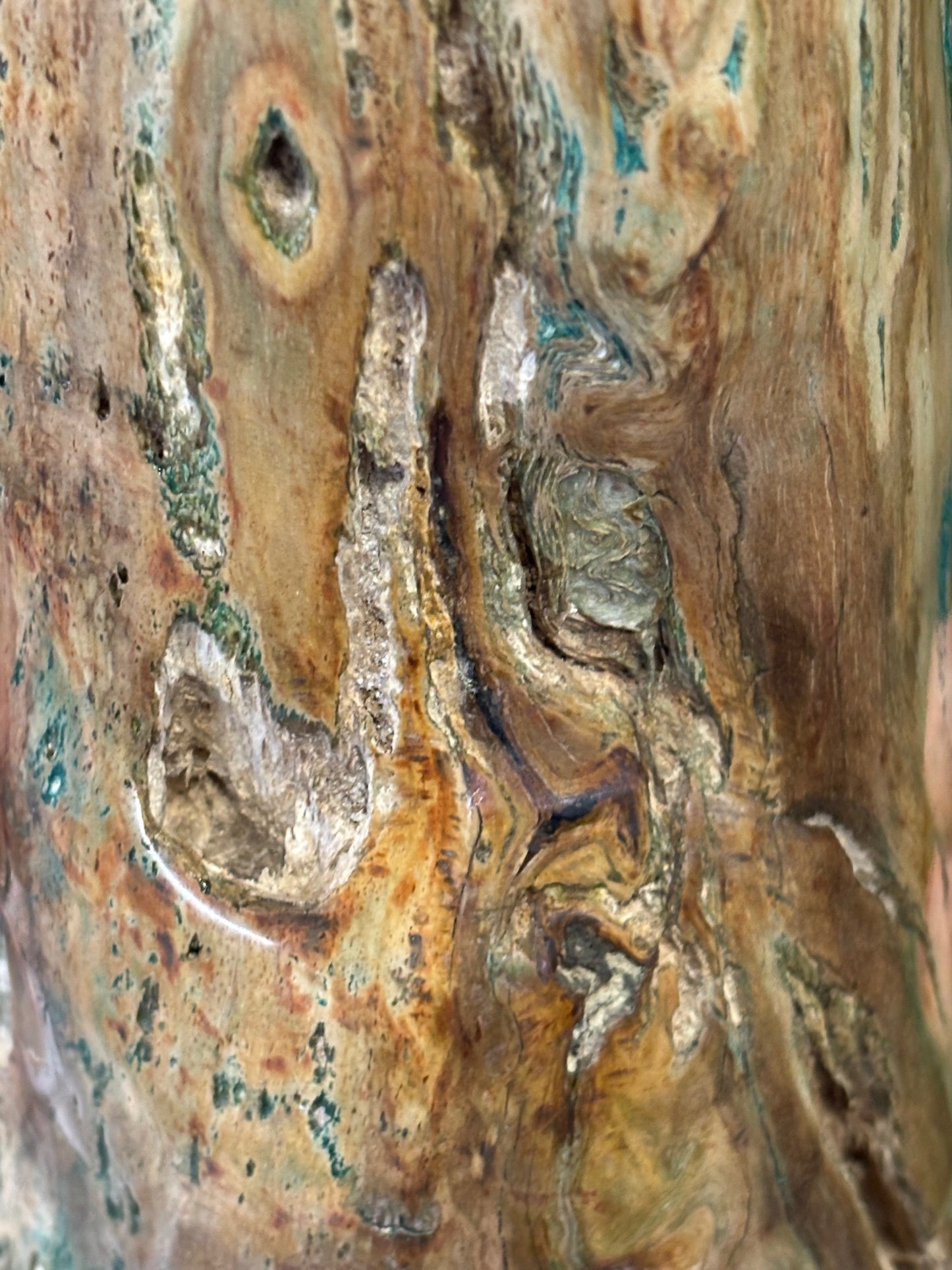 Versteinertes Holz mit Chrysokoll auf allen Seiten hochglanzpoliert, XL (ca. 5,5 Kg) in bester Qualität, Collawood Kupfermineralien Museumsstück Rarität fossiler Baumstamm Garut Java Indonesien