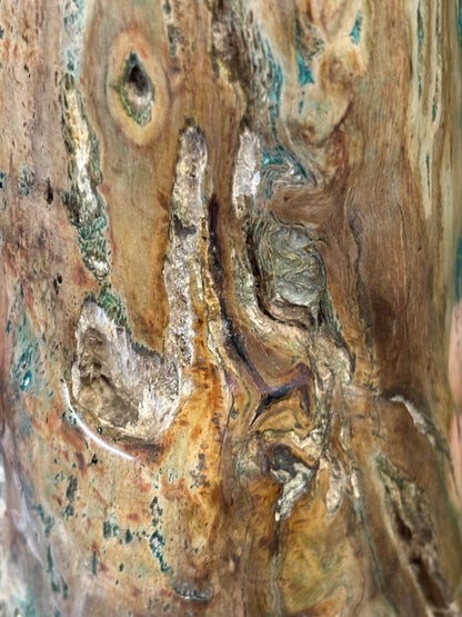 Versteinertes Holz mit Chrysokoll auf allen Seiten hochglanzpoliert, XL (ca. 5,5 Kg) in bester Qualität, Collawood Kupfermineralien Museumsstück Rarität fossiler Baumstamm Garut Java Indonesien