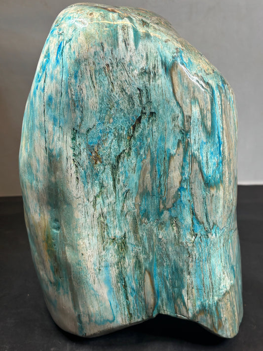 Versteinertes Holz mit Chrysokoll, XL (ca. 8,3 Kg) in bester Qualität, Collawood Kupfermineralien Museumsstück Rarität fossiler Baumstamm Garut Indonesien