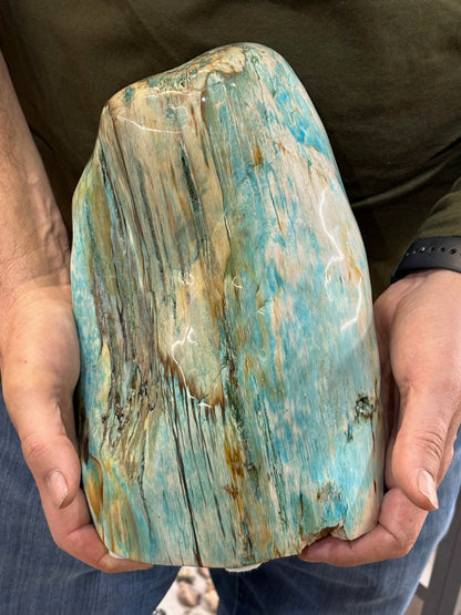 Versteinertes Holz mit Chrysokoll, XL (ca. 8,3 Kg) in bester Qualität, Collawood Kupfermineralien Museumsstück Rarität fossiler Baumstamm Garut Indonesien