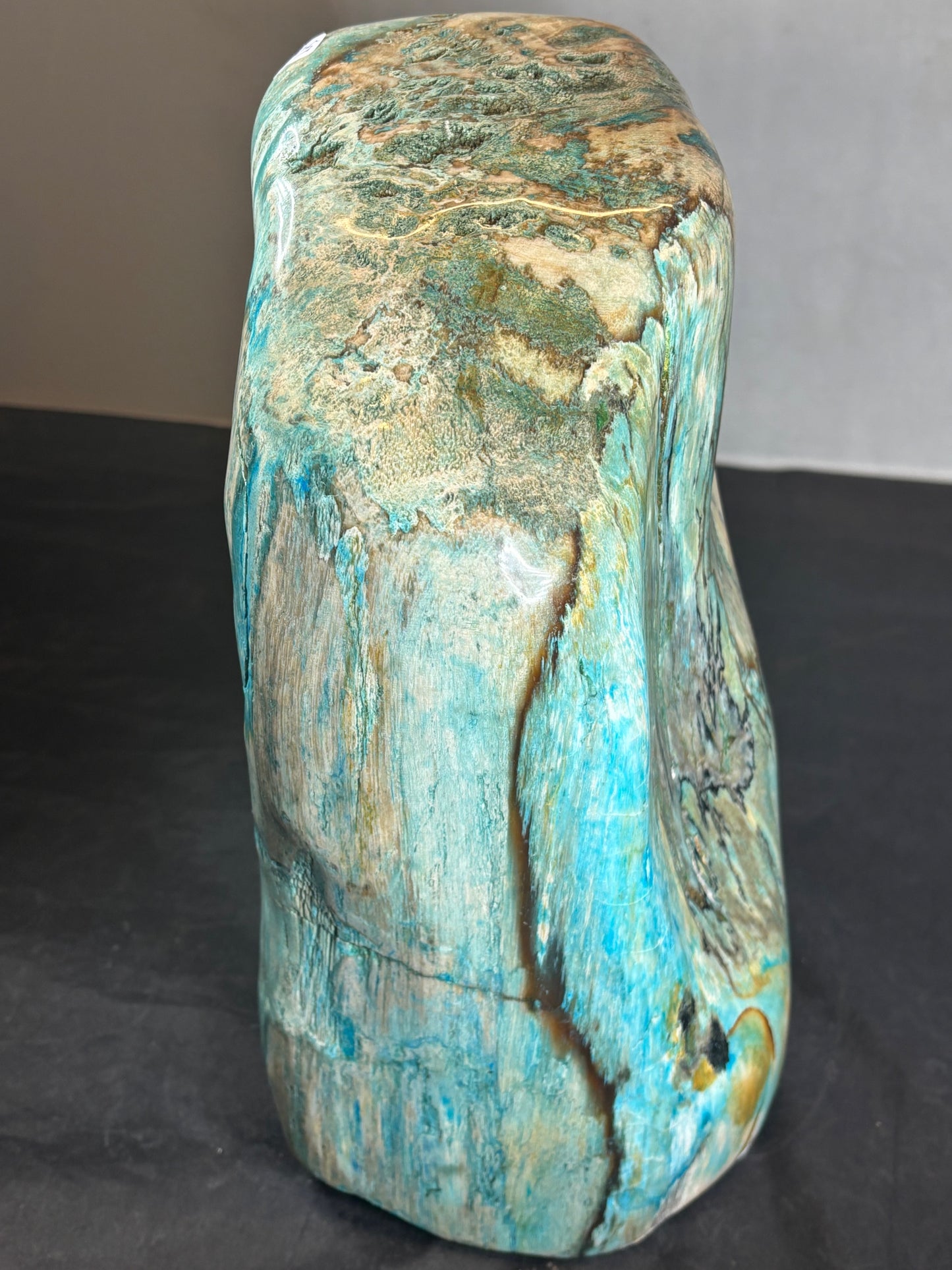 Versteinertes Holz mit Chrysokoll, XL (ca. 8,3 Kg) in bester Qualität, Collawood Kupfermineralien Museumsstück Rarität fossiler Baumstamm Garut Indonesien
