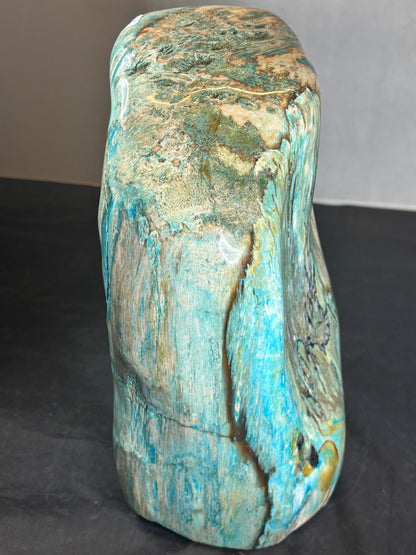 Versteinertes Holz mit Chrysokoll, XL (ca. 8,3 Kg) in bester Qualität, Collawood Kupfermineralien Museumsstück Rarität fossiler Baumstamm Garut Indonesien