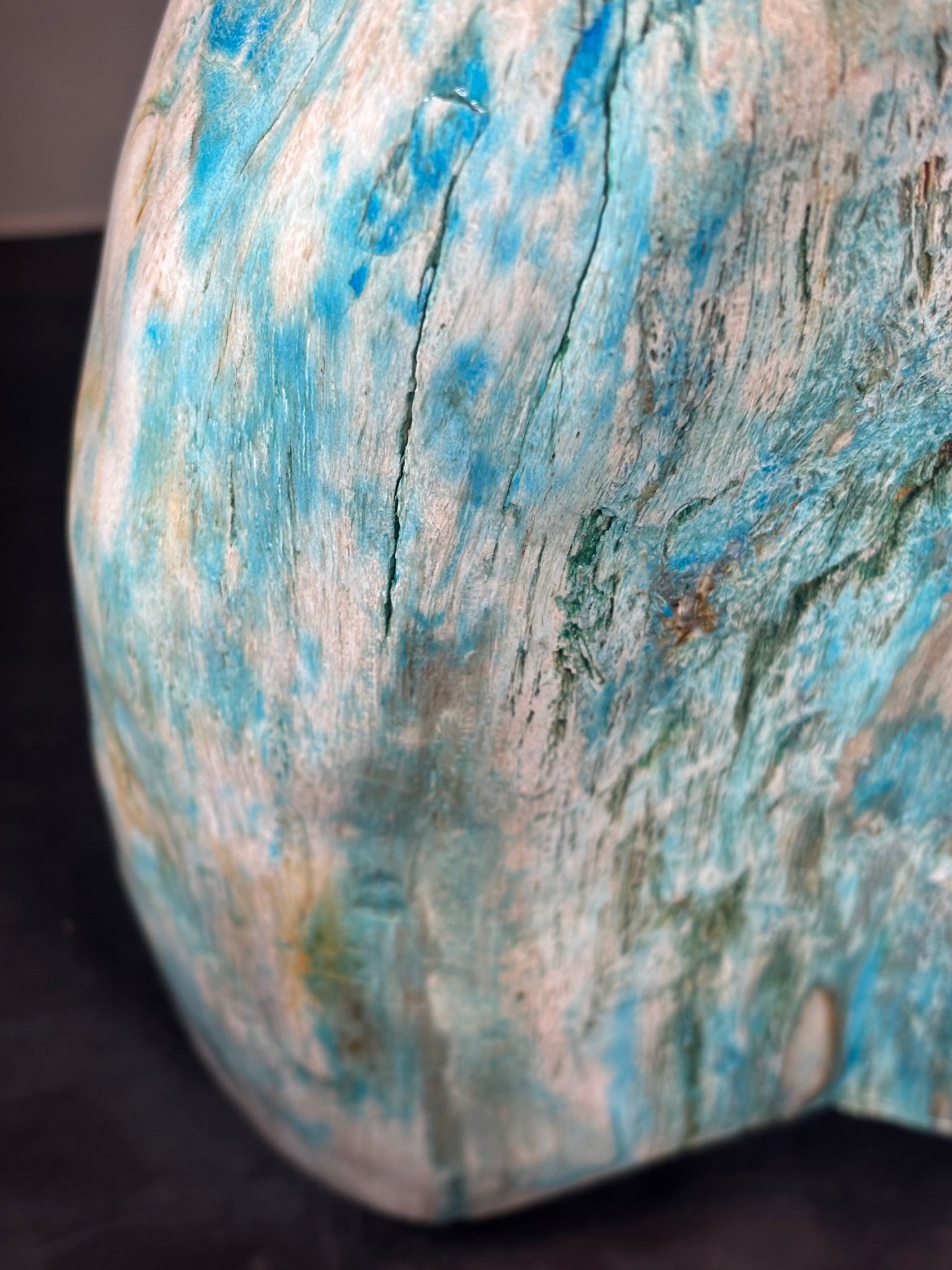 Versteinertes Holz mit Chrysokoll, XL (ca. 8,3 Kg) in bester Qualität, Collawood Kupfermineralien Museumsstück Rarität fossiler Baumstamm Garut Indonesien
