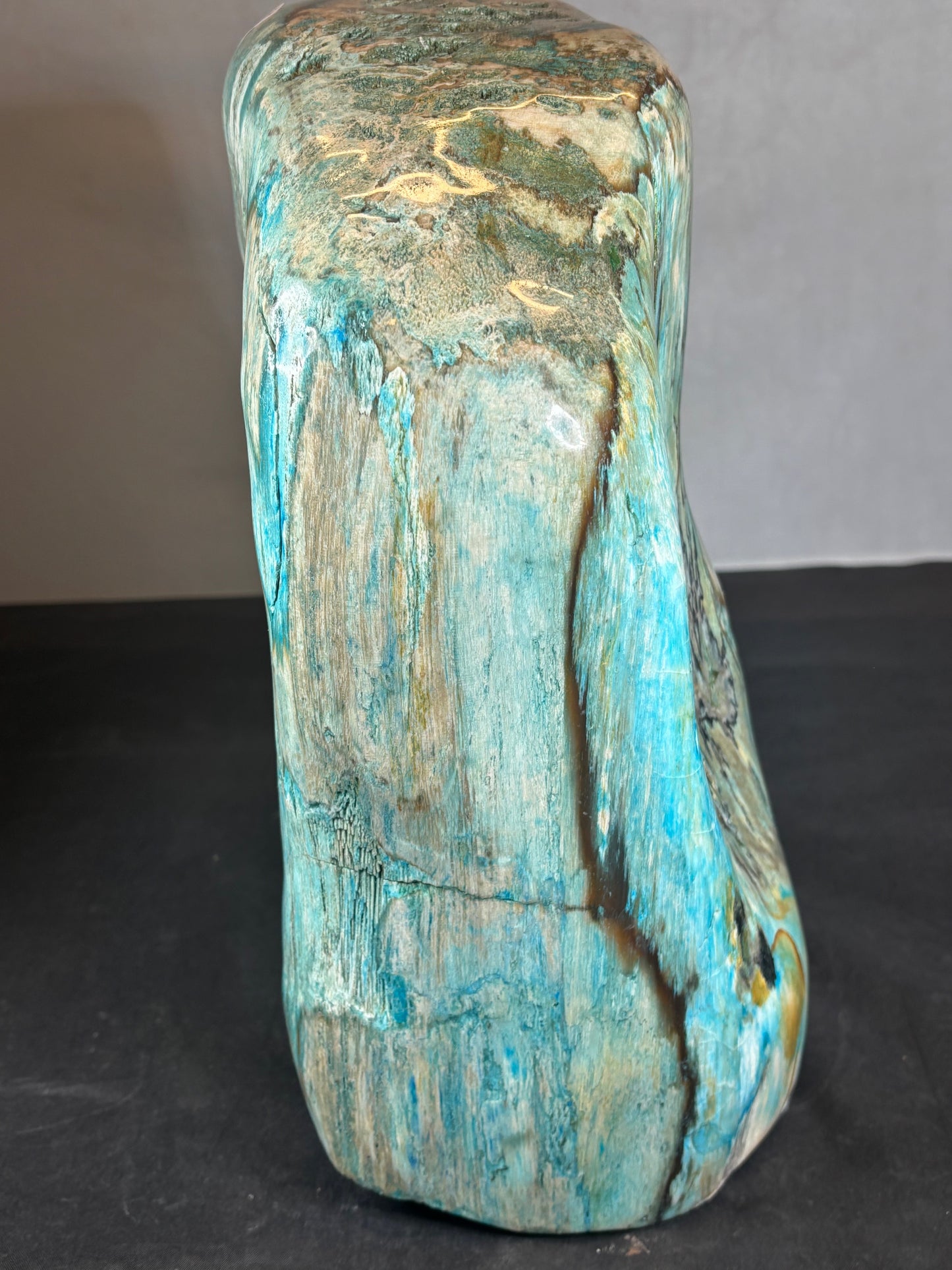 Versteinertes Holz mit Chrysokoll, XL (ca. 8,3 Kg) in bester Qualität, Collawood Kupfermineralien Museumsstück Rarität fossiler Baumstamm Garut Indonesien