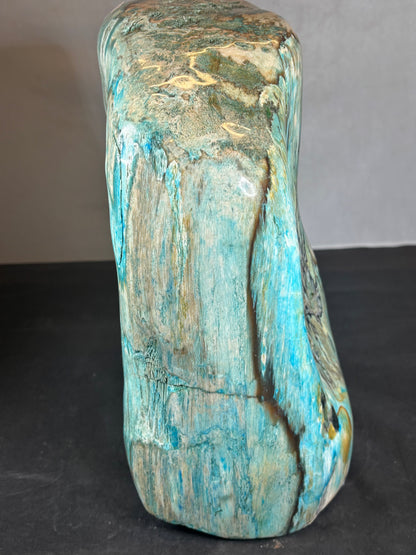 Versteinertes Holz mit Chrysokoll, XL (ca. 8,3 Kg) in bester Qualität, Collawood Kupfermineralien Museumsstück Rarität fossiler Baumstamm Garut Indonesien
