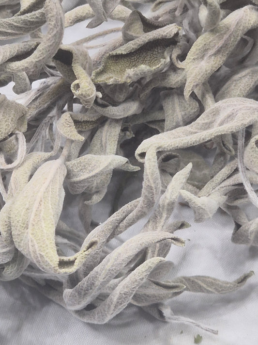Salbei getrocknet zum Räuchern naturbelassen aus Österreich, Salvia officinalis