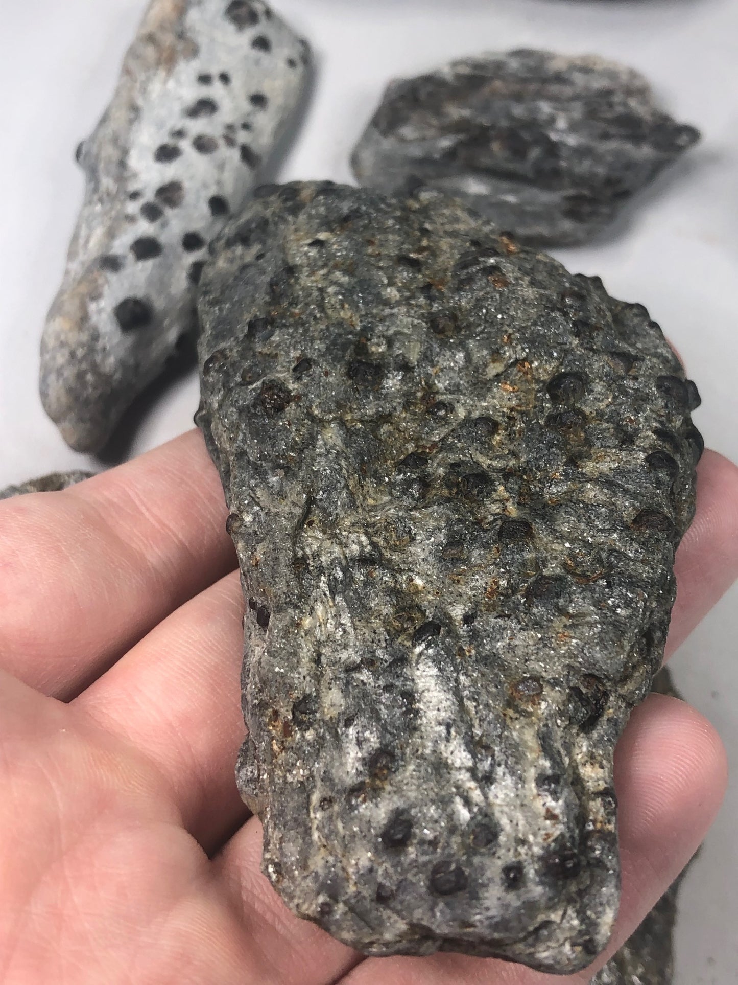 Granat Almandin in Glimmer, sehr gute Qualität, Österreich