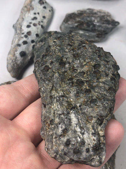 Granat Almandin in Glimmer, sehr gute Qualität, Österreich