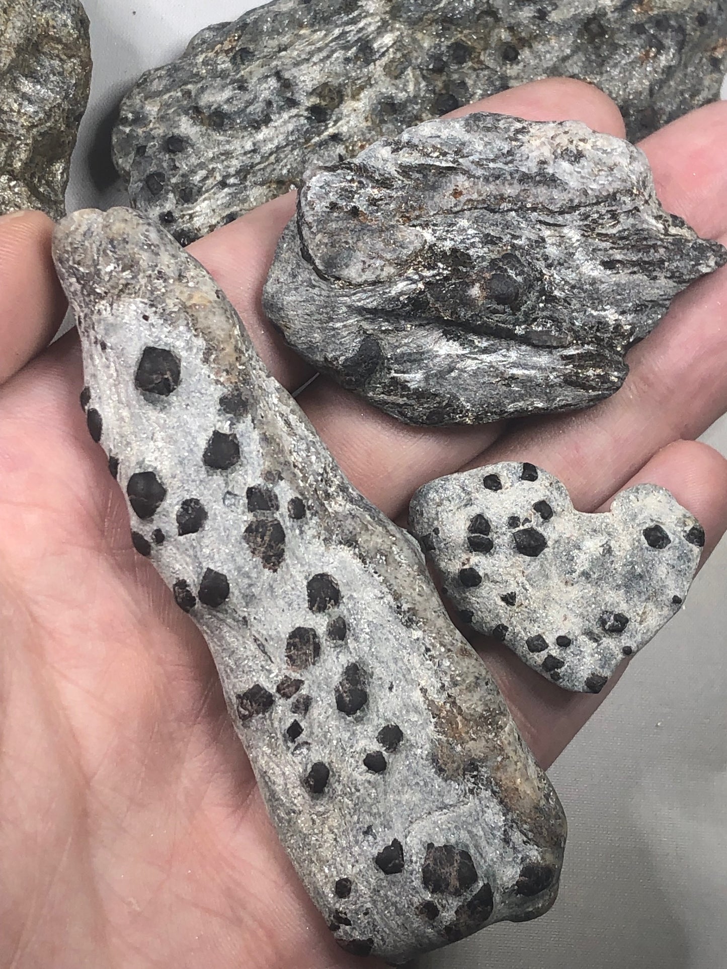 Granat Almandin in Glimmer, sehr gute Qualität, Österreich