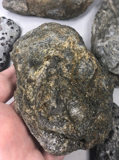 Granat Almandin in Glimmer, sehr gute Qualität, Österreich