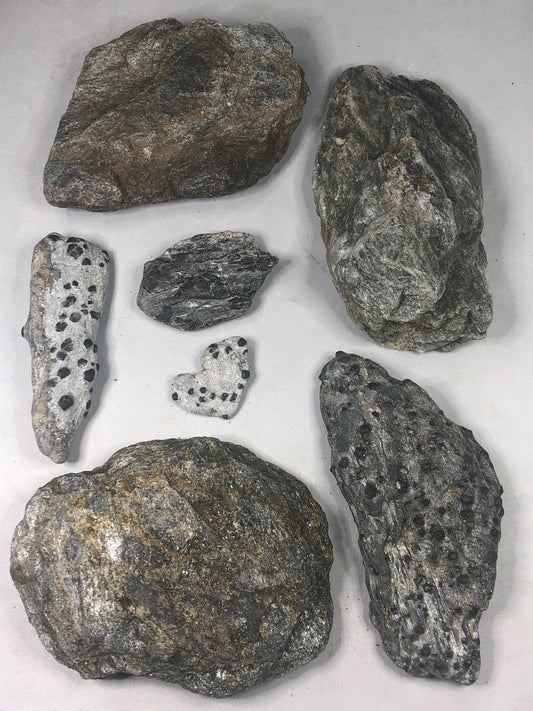 Granat Almandin in Glimmer, sehr gute Qualität, Österreich