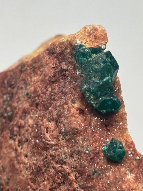 Dioptas Kristalle auf Matrix, groß in bester Qualität