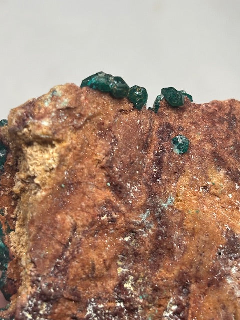 Dioptas Kristalle auf Matrix, groß in bester Qualität