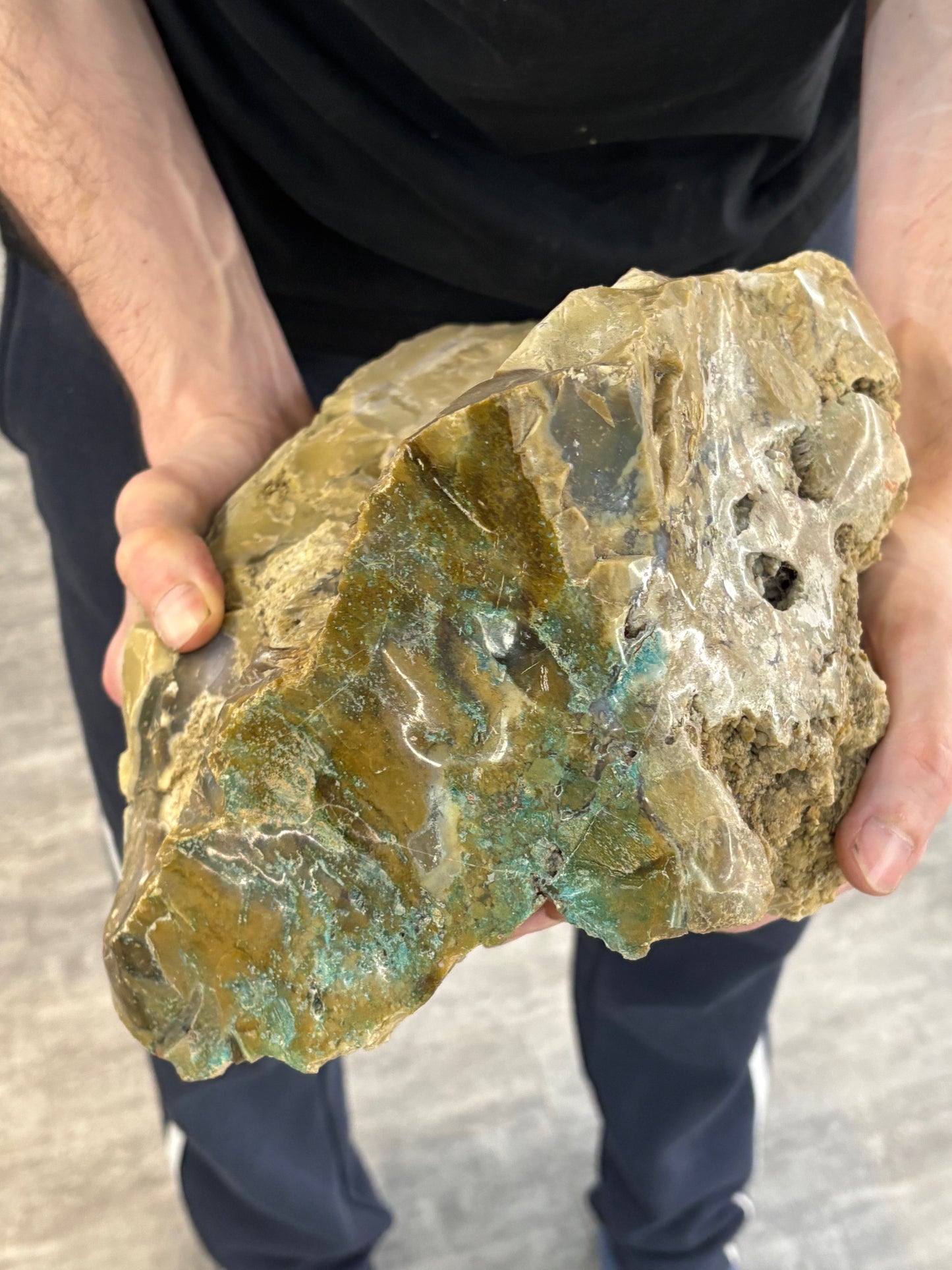 Versteinertes Holz opalisiert XL mit Chrysokoll, beidseitig auf Hochglanz poliert, beste Qualität (Rarität) Chalcedon Holzopal Opalholz
