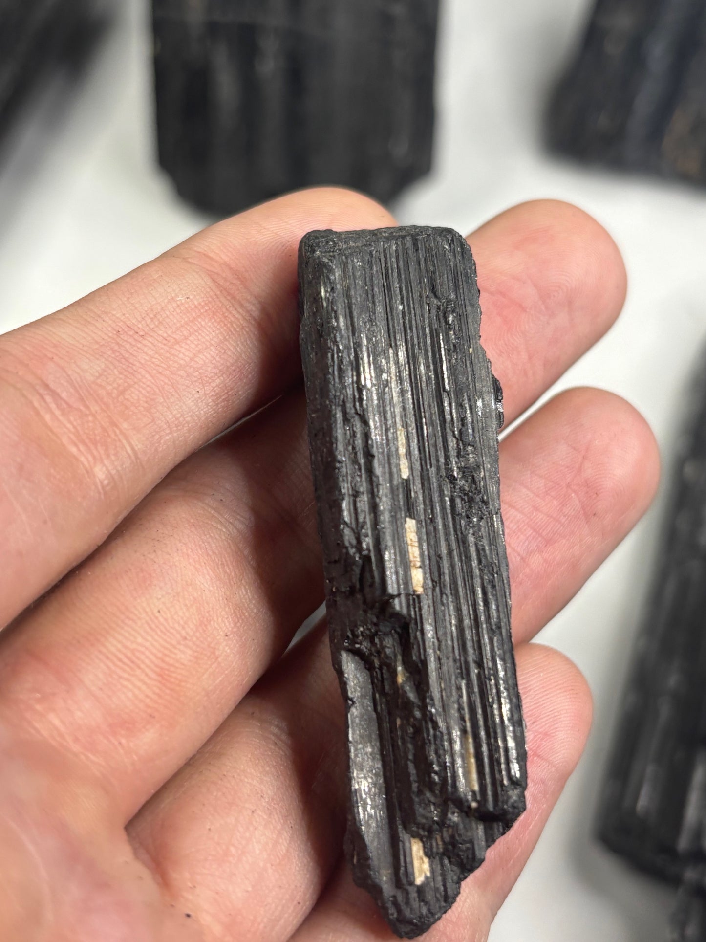 Schwarze Turmalin Kristalle teilweise freistehend, sehr gute Qualität, Schörl Schorl Rohsteine