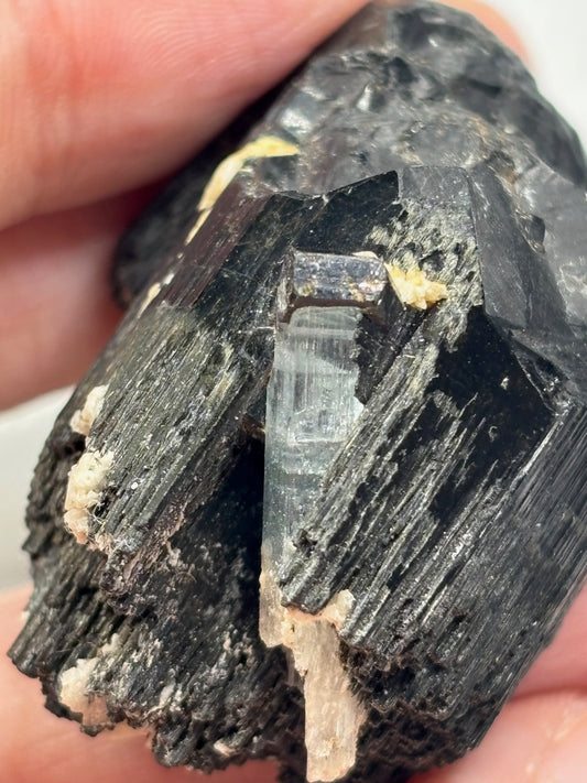 Aquamarin Kristall in schwarzen Turmalin Kristallen, Erongo Bergen Namibia Schörl Beryll