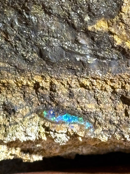 Boulder Opal XXL über 22,5Kg, in bester Qualität Museumsstück der vermutlich größte australische Edelopal im deutschsprachigen Raum