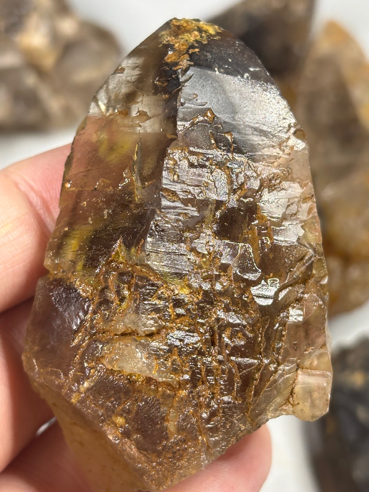 Rauchquarz Kristalle & Kristallstücke, Malawi Morion teilweise sehr transparent Elestial Jacaré Quarz Phantomquarz Ägirin Akmit Feldspat Zomba